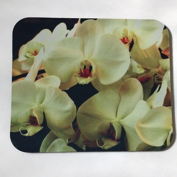 Kiara Other - New mousepad Orchids original photography art in light yellow